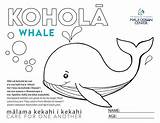 Moc Whale Coloring sketch template
