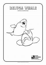 Beluga Whale Pages Coloring Cool Print Animals sketch template