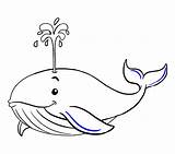 Whale Draw Drawing Easy Line Drawings Step Tail Shade sketch template