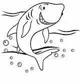 Coloring Shark Pages Kids Color sketch template