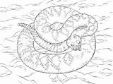 Rattlesnake Diamondback Colorare Serpente Klapperschlange Ausmalbild Ausmalbilder Diamant Cascavel Copperhead Anaconda Coloriage Serpent Sonagli Diamanten Mamba Snakes Diamante Supercoloring Ausdrucken sketch template