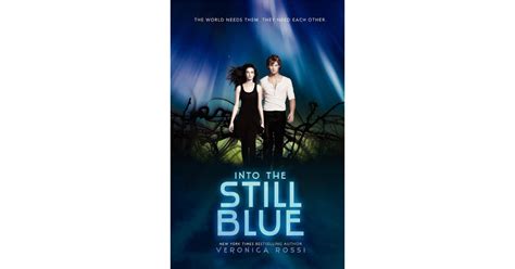 Into The Still Blue Best Ya Romance Books Of 2014