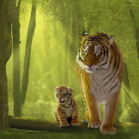 tigers in the woods by janeeden on deviantart