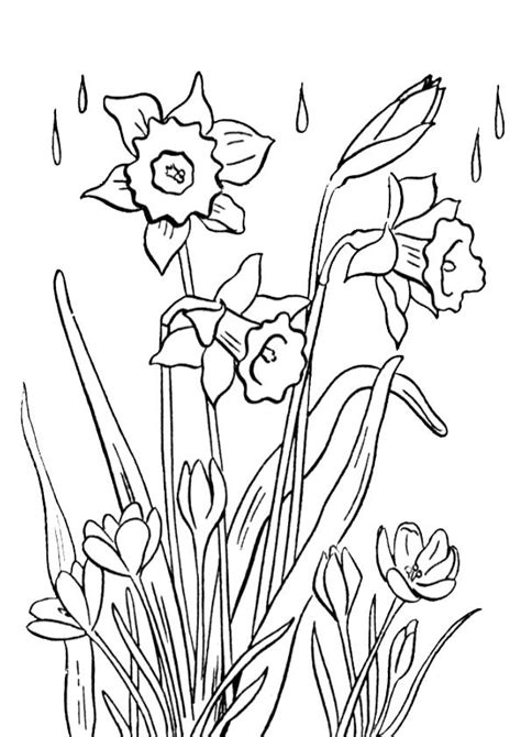 printable spring flower coloring pages   coloring pages flower