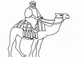 Camel Unta Dromadaire Camels Riding Arabian Mewarnai Pasir Kamel Draw Diwarnai Caravan Menunggang Crossing Coloriages Realisticcoloringpages sketch template