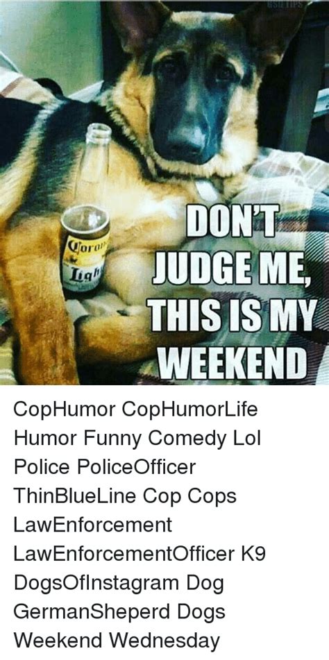 25 Best Memes About Police Police Memes