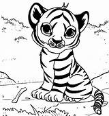 Tiger Tigers Gaddynippercrayons sketch template