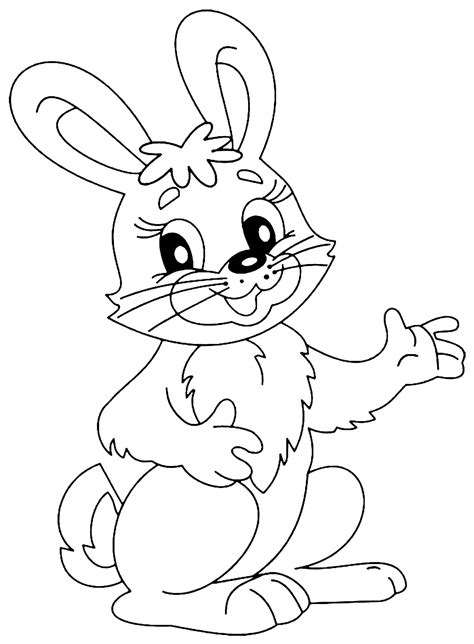 rabbit pictures  colouring  coloring pages