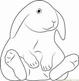 Rabbit Coloring Fat Lop Pages Printable Ear Coloringpages101 Template Rabbits Kids sketch template