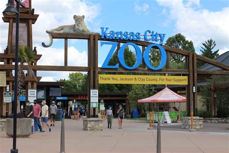 zoo   safe option       comply