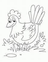 Hen Colouring Poule Clipart Sharepoint Maternelle Mme Tps sketch template
