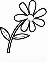 Blume Malvorlage Ausmalen Fleurs Malvorlagen Kostenlose Blumen Familie Ahornblatt Kinder Svt sketch template