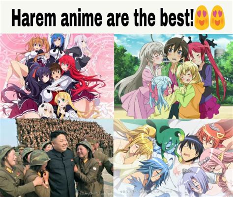 best harem anime countdown hi tech gazette