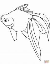Coloring Pages Goldfish Fish Paper Gold Printable sketch template