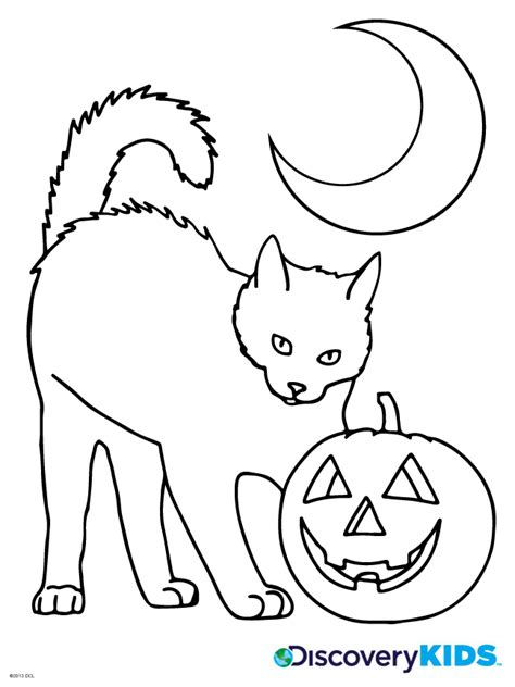 halloween cat coloring page discovery kids