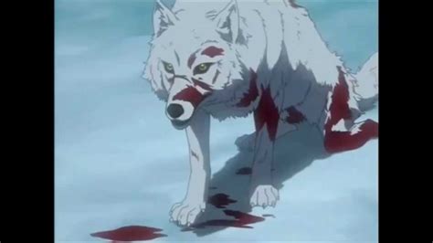 wolf anime boy sad  anime wolf guy white hair ilustrasi karakter gambar michael