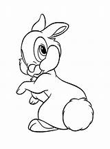 Hasen Kaninchen Hase Malvorlagen Ausdrucken sketch template
