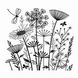 Doodle Doodles 1001 Aider Vont Vous Zeichnen Wildblumen Wiesenblumen Beau Crafty Allium Stamp Impressionnant Benjaminpech 90mm 82mm Zeichnungen Sommergarten Plante sketch template
