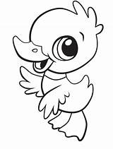 Cute Duck Baby Coloring Printable Pages Kids A4 Description sketch template