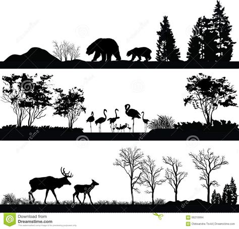 habitats cartoons illustrations vector stock images  pictures