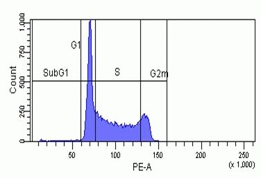 Cell cycle analysis using dapi