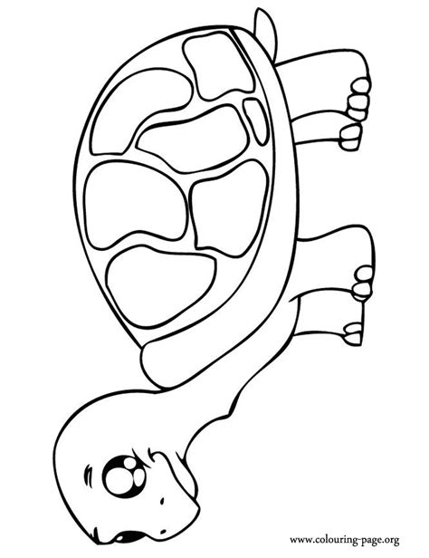 turtle coloring pages  baby fingding nemo sea turtle coloring page