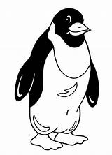 Pingouin Coloriage Imprimer Colorier Souriant sketch template