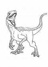 Jurassic Velociraptor Indoraptor Raptor Dinosaurs Dinosaurios Kleurplaat Coloringhome 12th Printcolorcraft 5th Pdfs Simplifying Hardest Dinosaurus Mathematical Solver Expression Solving Digit sketch template