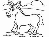 Donkey Animals Coloring Drawings Printable Drawing sketch template
