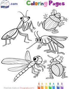 coloring pages  coloring pages butterfly illustration bee