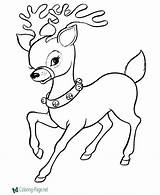 Coloring Christmas Pages Reindeer sketch template