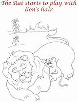 Rat Lion Coloring Kids Plays Story Pages Lions sketch template