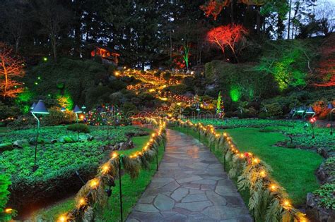 night lighting  garden royalty  stock photography image