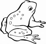 Frog Coloring Pages Print Getcolorings Book sketch template