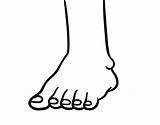 Clipart Toes Foot Coloring Clip Library Codes Insertion sketch template