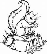 Pyrography Squirrel Stump sketch template