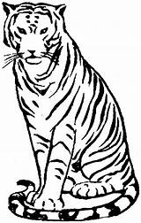 Tiger Coloring Pages Clipart Bengal Clip Sitting Drawing Cliparts Animals Print Simple Library Attribution Forget Link Don Clipartmag Comments sketch template