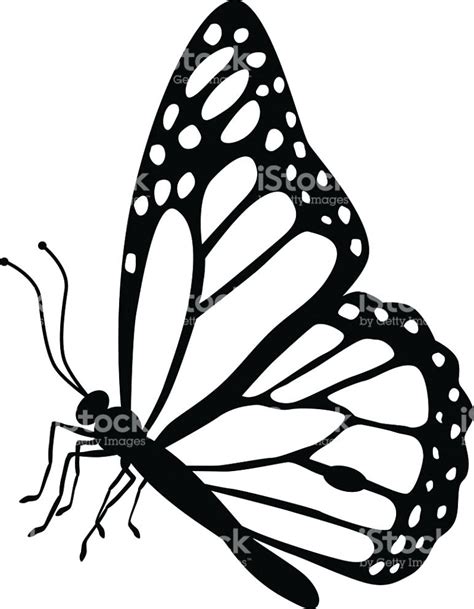 butterfly tattoo drawing    clipartmag