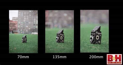what is depth of field examples of shallow vs deep depth of field