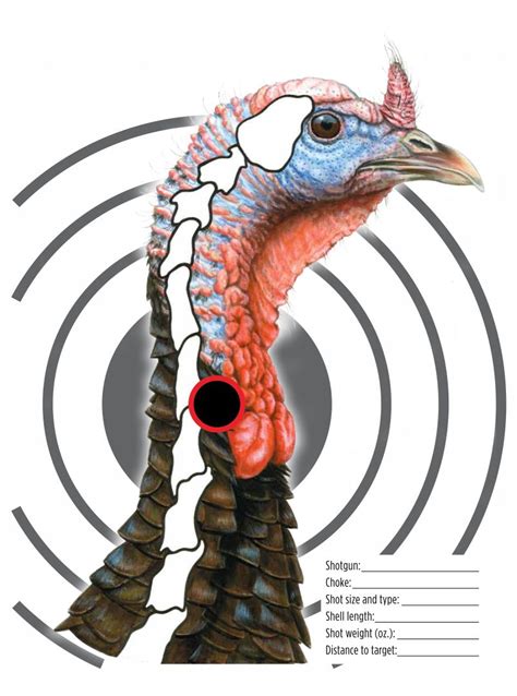 printable turkey shooting targets printable word searches