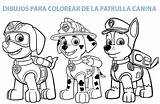 Canina Patrulla Colorear Patrulha Patrol Paw Fichas Manualidades Raudales Desenho Colouring Skye Tablero Aprendan Peques Descargarlas Imprimirlas sketch template
