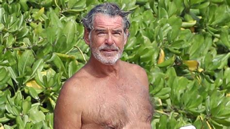 Shirtless Male Celebs Over Age 45 Photos Of Pierce Brosnan And More