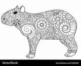 Capybara Vectorstock Colorir Downloadable Capivara Desenhos Mammals Rainforest sketch template