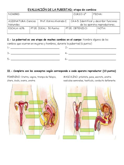 evaluación de la pubertad hombre adolescencia