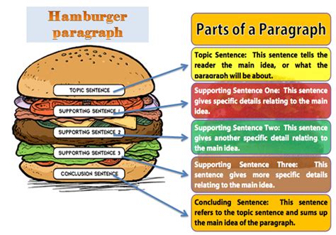 printable hamburger paragraph printable word searches