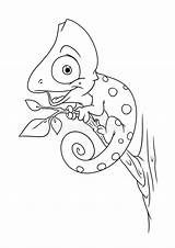 Chameleon Kameleon Karikatur Camaleonte Lesson Kleurende Dierlijke Beeldverhaal Adulti Illustrazione Abbildung Animale Coloritura Impagina Fumetto sketch template