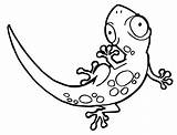 Coloring Pages Gecko Lizard Printable Cute Kids Print Eyed Big Getcolorings Vector Illustration Frilled Neck Clipartmag Drawing Color Cartoon sketch template
