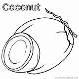 Coconut Colouring sketch template