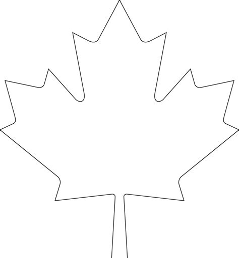 maple leaf drawing template  paintingvalleycom explore collection