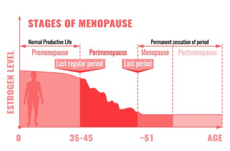 Pro Pell Provider Portal The Three Stages Of Menopause And Bio